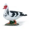 Image de La Vie A La Ferme Canard De Barbarie