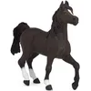 Image de CHEVAUX, POULAINS ET PONEYS Cheval arabe