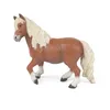 Image de CHEVAUX, POULAINS ET PONEYS Poney shetland