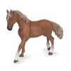 Image de CHEVAUX, POULAINS ET PONEYS Jument pur-sang anglaise alezan