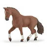 Image de CHEVAUX, POULAINS ET PONEYS Cheval Hanovrien alezan