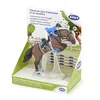 Image de CHEVAUX, POULAINS ET PONEYS CHEVAL DE SAUT D'OBSTACLES et SA CAVALIERE