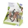 Image de CHEVAUX, POULAINS ET PONEYS Cheval de concours et son cavalier