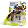 Image de CHEVAUX, POULAINS ET PONEYS Cheval de saut d'obstacle et son cavalier