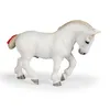 Image de Chevaux, Poulains Et Poneys Percheron Blanc