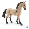 Image de Chevaux, Poulains Et Poneys Cheval Lusitanien