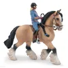 Image de Chevaux, Poulains Et Poneys Tinker Et Sa Jeune CavaliÃ¨re