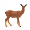 Image de LA VIE SAUVAGE Biche