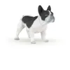 Image de CHIENS ET CHATS Bouledogue franÃ§ais noir et blanc
