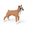 Image de CHIENS ET CHATS Boxer
