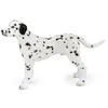 Image de CHIENS ET CHATS Dalmatien