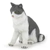Image de CHIENS ET CHATS Chatte assise