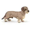 Image de CHIENS ET CHATS Teckel