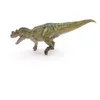 Image de LES DINOSAURES Ceratosaurus