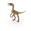 Image de LES DINOSAURES Compsognathus