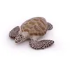 Image de L'UNIVERS MARIN Tortue caouanne