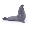 Image de L'UNIVERS MARIN ElÃ©phant de mer