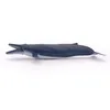 Image de L'UNIVERS MARIN Baleine bleue
