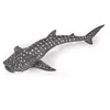 Image de L'UNIVERS MARIN Jeune requin baleine