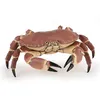 Image de L'UNIVERS MARIN Crabe