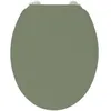 Image de ABATTANT DUPLO OIL GREEN - POUDRE DE BAMBOU