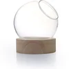Image de Vase globe en verre avec socle en bois - Ø 20 cm x 21 cm