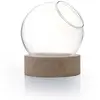 Image de Vase globe en verre avec socle en bois - Ø 10 cm x 11 cm