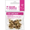 Image de Vis chicago pour cuir 20 pcs
