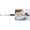 Image de Pentel Marqueur Pour Textiles Green-Label Nm10, Noir