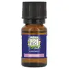 Image de LÉa nature so bio étic AROMA - Huile essentielle bio, Patchouli (10 ml)
