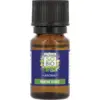Image de LÉa nature so bio étic AROMA - Huile essentielle bio, Menthe verte (10 ml)