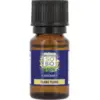 Image de LÉa nature so bio étic AROMA - Huile essentielle bio, lavande fine de Provence (10 ml)