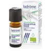 Image de Ladrôme Huile Essentielle d'Eucalyptus Radié 10 ml