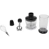 Image de Essentielb EMXP 3 Pulp - Mixeur Ã  main - 600 Watt - noir/inox