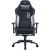 Image de SiÃ¨ge gamer SKILLKORP C10