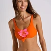Image de Maillots de bain Banana Moon  NOUO BEACHCLUB P25607414