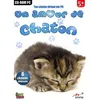 Image de Avec Un Amour De Chaton PC