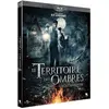 Image de Le Territoire des Ombres : Le secret des Valdemar