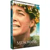 Image de Midsommar