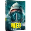 Image de Meg Rising