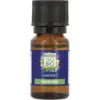 Image de LÉa nature so bio étic AROMA - Huile essentielle bio, ravintsara (10 ml)
