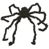 Image de P'TIT Clown re18023 - AraignÃ©e gÃ©ante peluche noir et marron