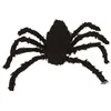 Image de ARAIGNÃE VELUE DÃCORATIVE 160CM NOIR