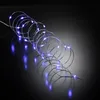 Image de Guirlande interieur fil cuivre 20 led bleues