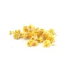 Image de Fleurs sÃ©chÃ©es Immortelle - Deco Bougie Savon