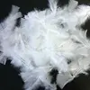 Image de Plumes blanches (environ 1500 plumes)