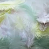 Image de Plume de coq Pastel 7 cm x 20 pcs