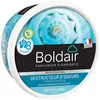 Image de Destructeur d'odeurs gel Boldair grand large 300g
