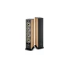 Image de Focal Aria Evo X N°3 Noyer - Enceintes Colonne