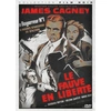 Image de Le Fauve en liberté